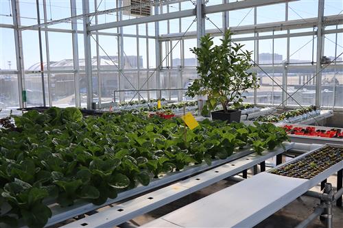  Gifted educators toured the CSP Spur campus on Oct. 30